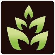 Ostia antica suite bb